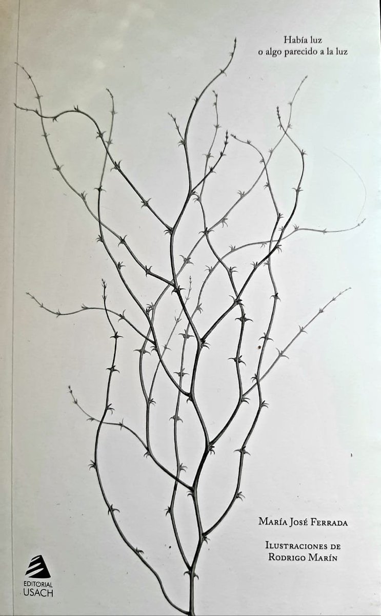 Entrada sin título 1185