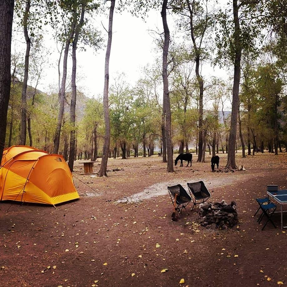 Entrada sin título 1851