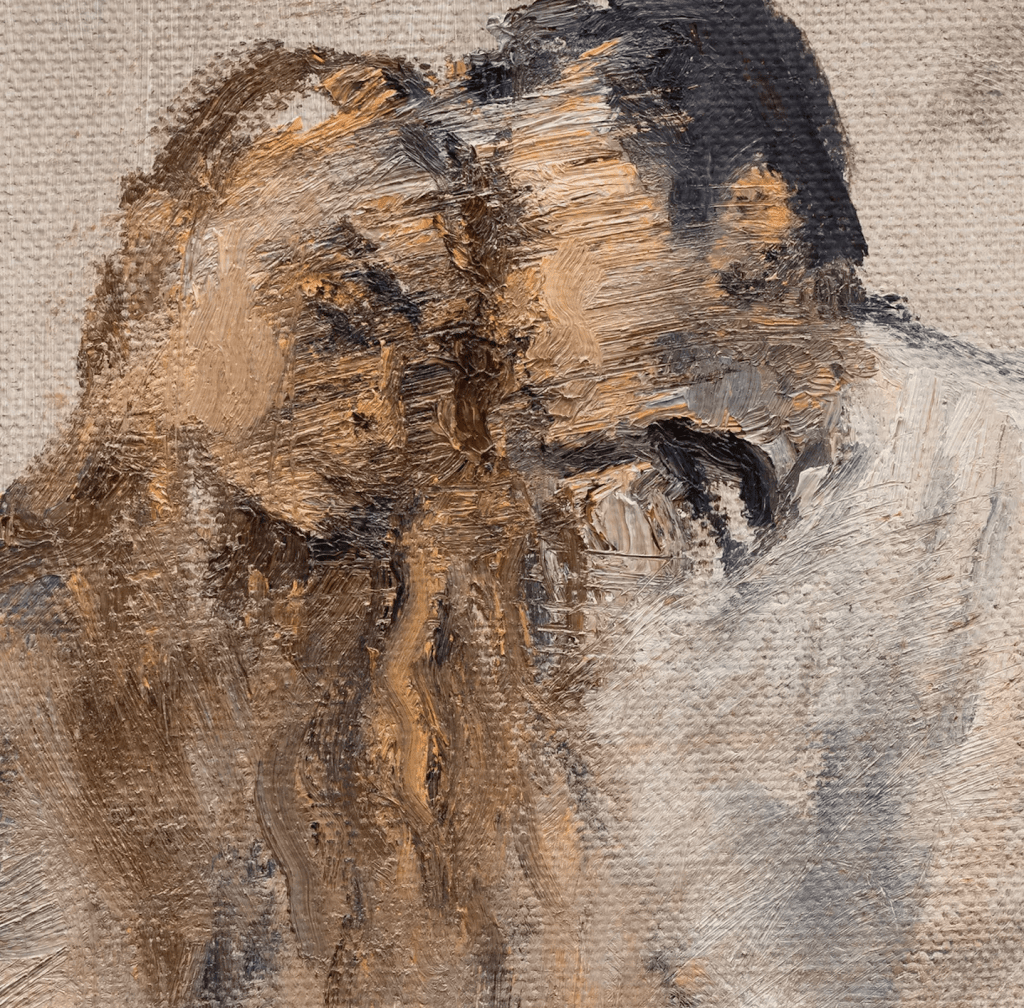 Entrada sin título 4186