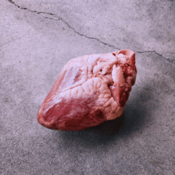 Entrada sin título 5190