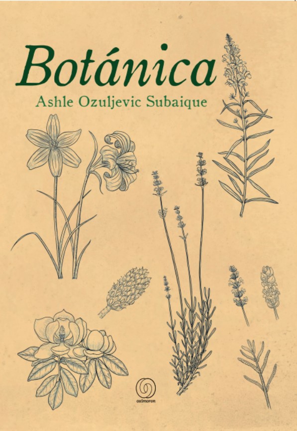 Entrada sin título 8131