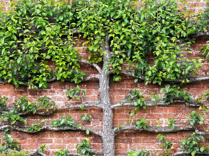 Tentativa de agotar un silencio&nbsp;parisino