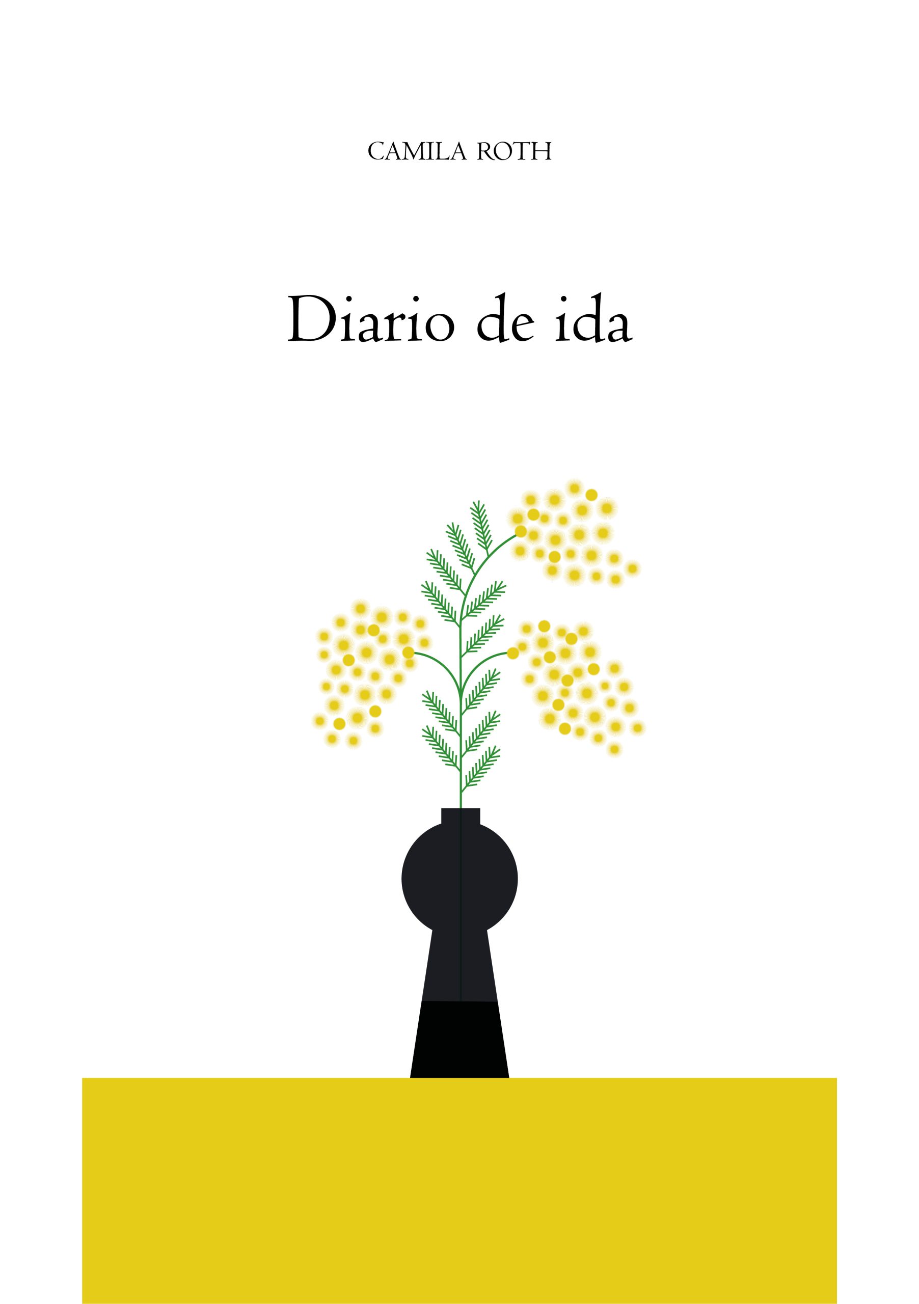 Algunas preguntas sobre diario de ida