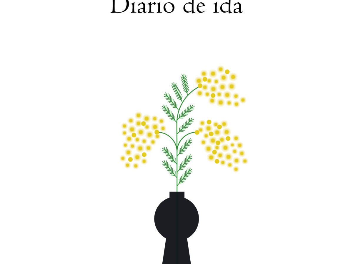 Algunas preguntas sobre diario de&nbsp;ida