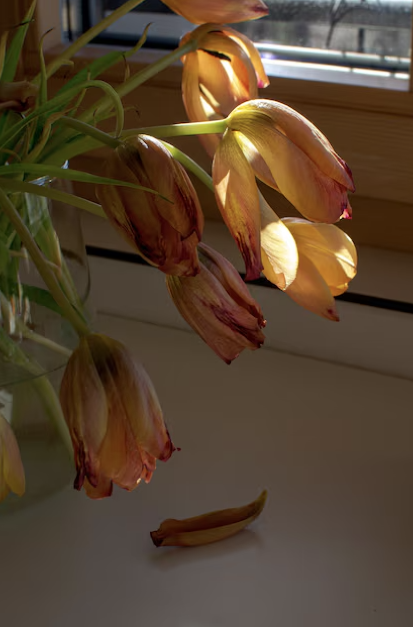 Flores, poemas, poemas de&nbsp;flores