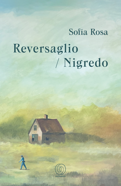 Entramados de memoria, escritura, género y clase en Reversaglio/Nigredo, de Sofía Rosa[1]