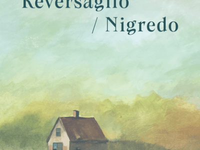 Entramados de memoria, escritura, género y clase en Reversaglio/Nigredo, de Sofía&nbsp;Rosa[1]